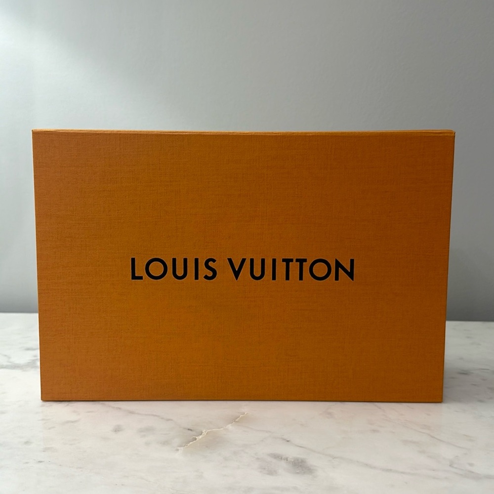 Louis Vuitton Storage Box
